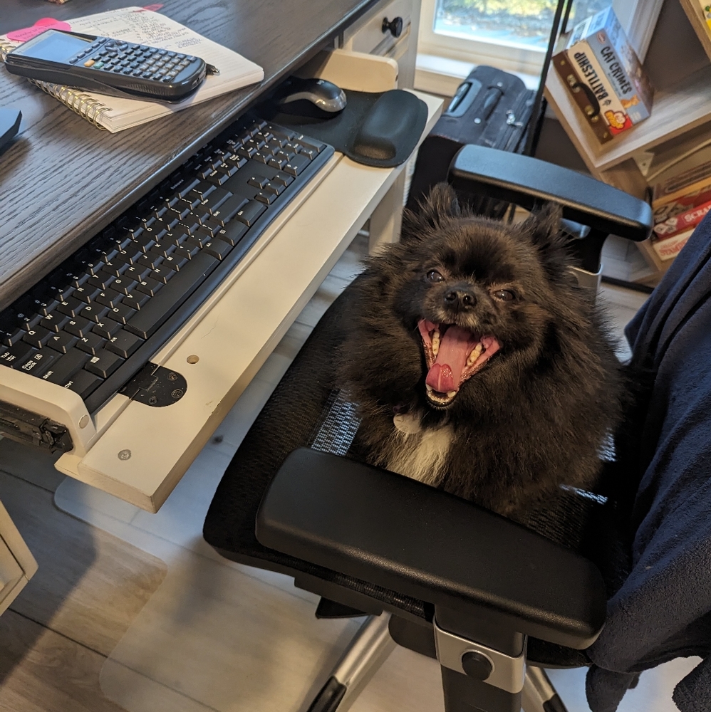 Meet your Posher, Clarissa